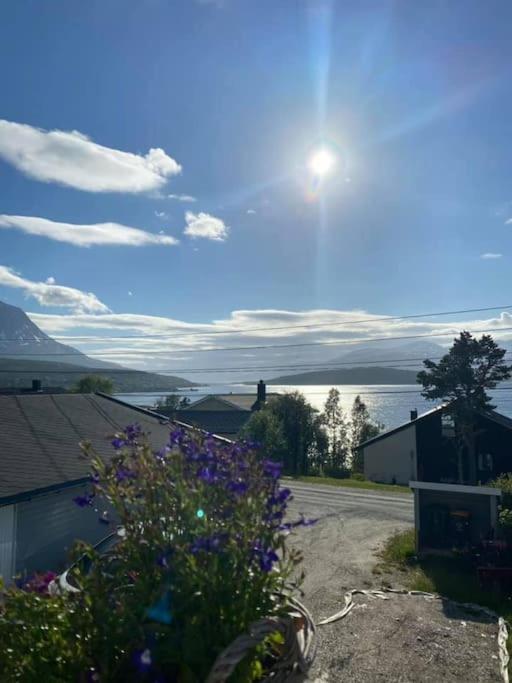 Vikran Apartments Na Koncu Swiata Exteriér fotografie